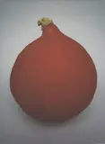 Peter Peryer, Pumpkin, digital print, 2010, edition of 15