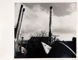 Frank Simon Hofmann, Sculptor's Backyard, Auckland, gelatin silver print