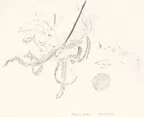 Joanna Paul, Fern and Stone, Okarito, graphite on paper