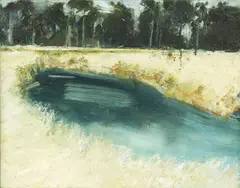 Sue Renner, Waihopi Bend, oil on board