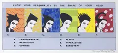 Jennifer Dolezel, Know Your Personality by the Shape of Your Head, screenprint and applied acrylic, 1/1