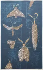 Eileen Mayo, Moths on the Window, screenprint, 25/35
