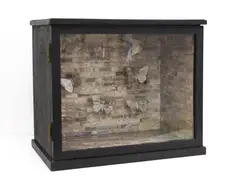 Megan Jenkinson, Butterfly Box, mixed media and vitrine, circa 1987