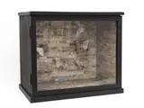 Megan Jenkinson, Butterfly Box, mixed media and vitrine, circa 1987