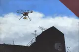 Mary McIntyre, Untitled - Drone