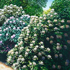 Karl Maughan, Kiwitea, oil on canvas