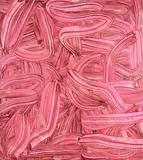 Judy Millar, Untitled, acrylic on canvas