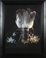 Fiona Pardington, Still Life with Albatross Tail, Elizabeth’s Whalebone Needles and Shotgun Casings, Ripro, 2014, 2014, inkjet print on Hahnemuhle paper, edition of 10