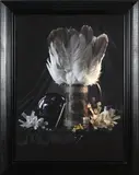Fiona Pardington, Still Life with Albatross Tail, Elizabeth’s Whalebone Needles and Shotgun Casings, Ripro, 2014