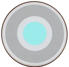 Julian Dashper, Drumskin, vinyl on drumhead
