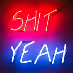 Jon Campbell, Shit Yeah, neon, MDF, acrylic and enamel paint