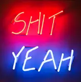 Jon Campbell, Shit Yeah, neon, MDF, acrylic and enamel paint
