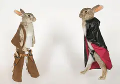 Michael Parekōwhai, Roebuck Jones and the Cuniculus Kid, taxidermied rabbits and mixed media (2001)