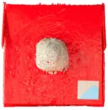 Rohan Wealleans, Study for a Beginning, wood, fibreglass, polystyrene and paint