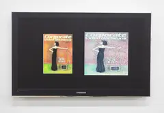 Simon Denny, Corporate Video Decisions Double Canvas: High Fashion: Too Chic for Video?, inkjet print on two canvases, bolts, aluminium