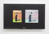 Simon Denny, Corporate Video Decisions Double Canvas: High Fashion: Too Chic for Video?, inkjet print on two canvases, bolts, aluminium