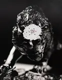 Der Tiefenglanz by Gavin Hipkins and Karl Fritsch, silver gelatin print and cubic zirconia (1/1), offered Oct 2025
