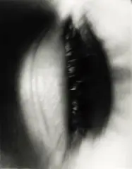 Unprotected by Fiona Pardington, gelatin silver print, offered Oct 2025