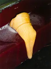Peter Peryer, Ice Cream, pigment ink on Hahnemuhle photo-rag paper, 7/10