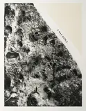 Elizabeth Thomson, Fantham’s Peak, photo-etching and aquatint on paper, 4/25
