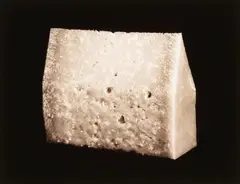 The House of Parmesan by Marie Shannon, sepia-toned gelatin silver print, 8/20, sold Oct 2025