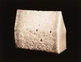 Marie Shannon, The House of Parmesan
