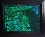 Fiona Pardington, Untitled, type C print, limited edition