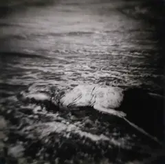 Peter Peryer, Untitled from the Portfolio Gone Home, gelatin silver print, 3/20