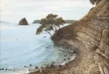 Mark Cross, Untitled - Auckland Landscape, oil on board