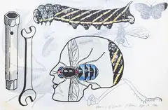 Richard Killeen, Naming of parts, mixed media on paper