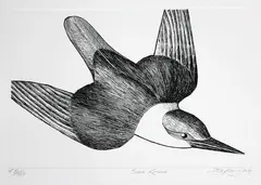 Don Binney, Sofa Kotare, intaglio print on Fabriano Tiepolo paper, AP, XIII/XXIV