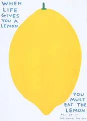 When Life Gives you a Lemon by David Shrigley, screenprint on 200gm Munken Lynx Paper, open edition, sold Sep 2025