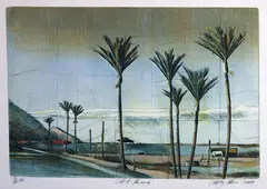 Stanley Palmer, Shed - Karamea, bamboo engraving and lithograph, 9/60