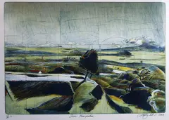 Stanley Palmer, From Maungawhau, bamboo engraving and lithograph, 17/60