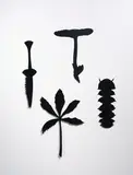 Richard Killeen, Primordial, acrylic lacquer on aluminium, four parts