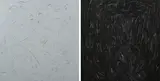 Liat Yossifor, Nothing is black, nothing is grey, oil on linen canvas mounted to board