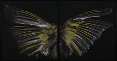 Pihipihi (Below), Hunter by Fiona Pardington, pigment inks on Hahnemühle paper, 6/10, sold Aug 2025