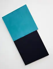 Stephen Bambury, No. 26 (‘Spot’ for J), oil on canvas, two panels