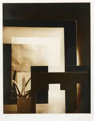 Frank Simon Hofmann, Composition with Cactus, gelatin silver print, 4/10