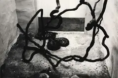 Snake by Peter Peryer, gelatin silver print (1982), offered Jun 2025