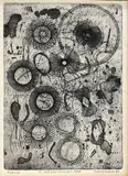 Barry Cleavin, A Leaf from Leonardo’s Book, etching, 2/30