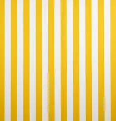 Julian Dashper, Untitled (1991), sprayed acrylic on industrial canvas