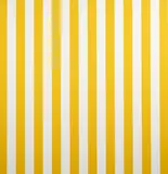 Julian Dashper, Untitled (1991), sprayed acrylic on industrial canvas