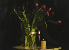 Fiona Pardington, Still Life with Lazlo's Wilting Tulips, inkjet on Epson Archival Matte paper, 91/100, 2018