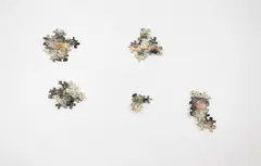 Ruth Watson, Southern Cross, collage and resin on jigsaw pieces, mounted into five sections