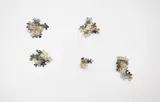 Ruth Watson, Southern Cross