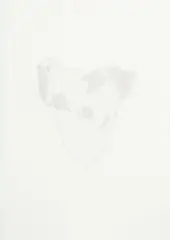 Ruth Watson, Natural Boundaries (Athelstan Spilhaus' approximately equal area World Ocean Map), graphite on 300gsm watercolour paper, 2007