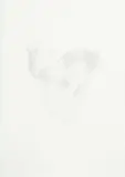 Ruth Watson, Natural Boundaries (Athelstan Spilhaus' approximately equal area World Ocean Map)