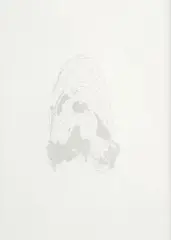 Ruth Watson, Natural Boundaries (Spilhaus' composite of three centred transverse Aitoff compromise projections), graphite on 300gsm watercolour paper, 2007