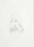 Ruth Watson, Natural Boundaries (Spilhaus' composite of three centred transverse Aitoff compromise projections)